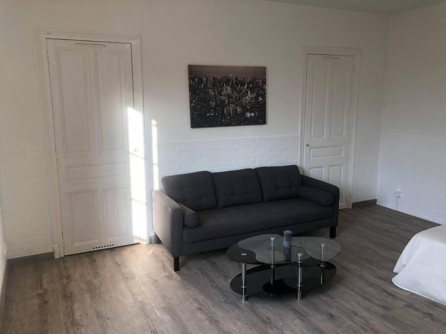 Studio « Le Parc Des Moulins » Troyes Kültér fotó